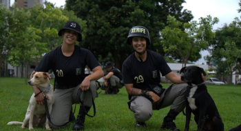 PM promove projeto pioneiro de adestramento e adoção de cães de rua